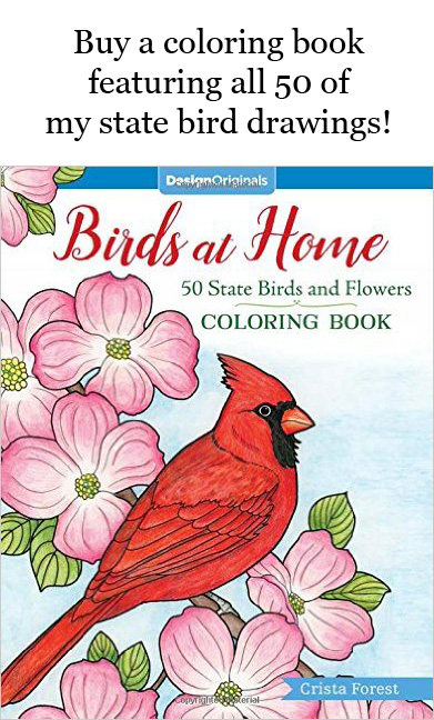 50 state birds coloring book