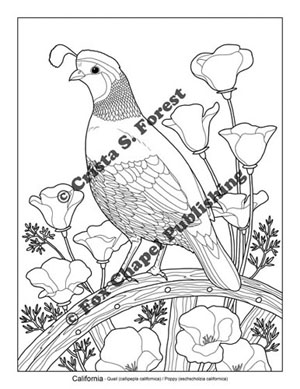 California Quail and poppy coloring page