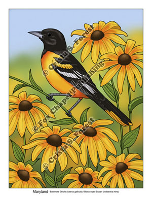 Baltimore Oriole and Black-eyed Susans