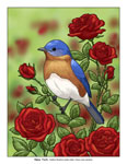 NY state bird and flower illustration