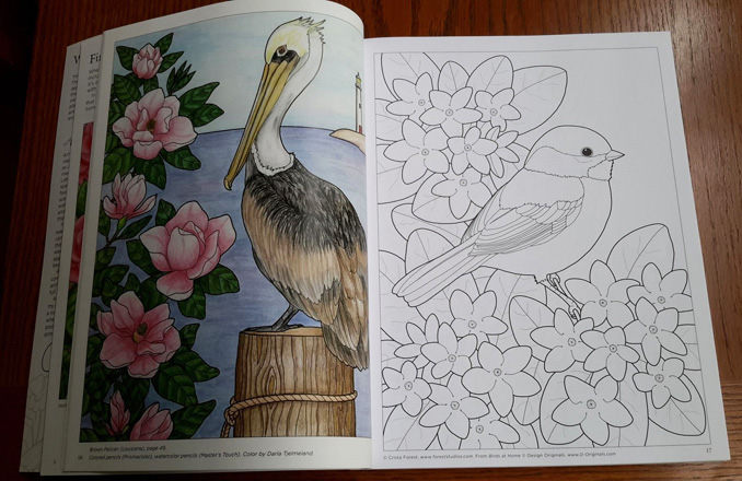 Birds At Home Coloring Book by Crista Forest