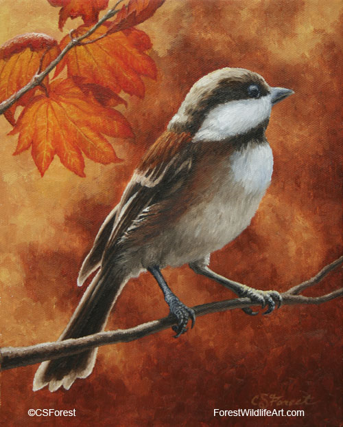 Chestnut-backed chickadee and autumn leaves