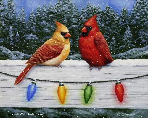 Cardinals and Christmas Lights