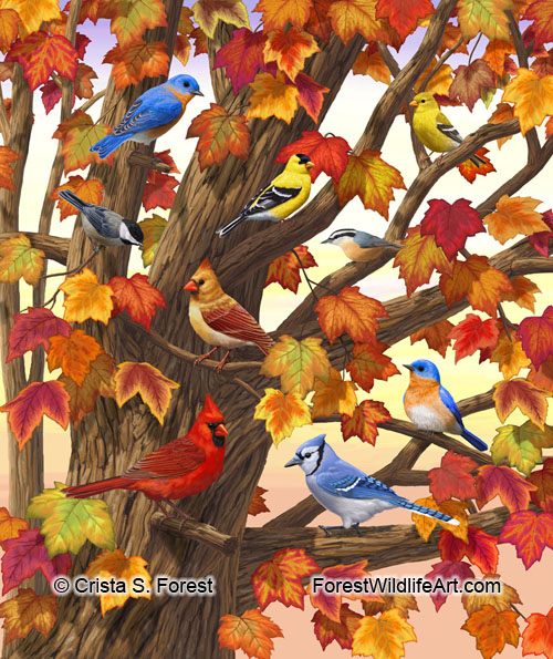 Maple Tree Marvel - Birds in Autumn Maple Tree