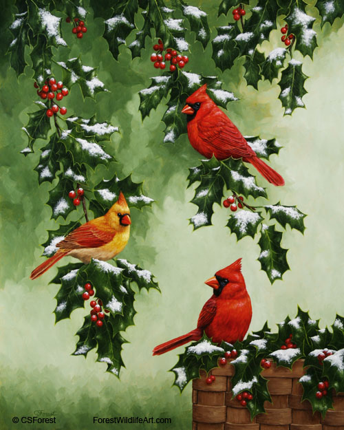Red cardinals and Christmas holly