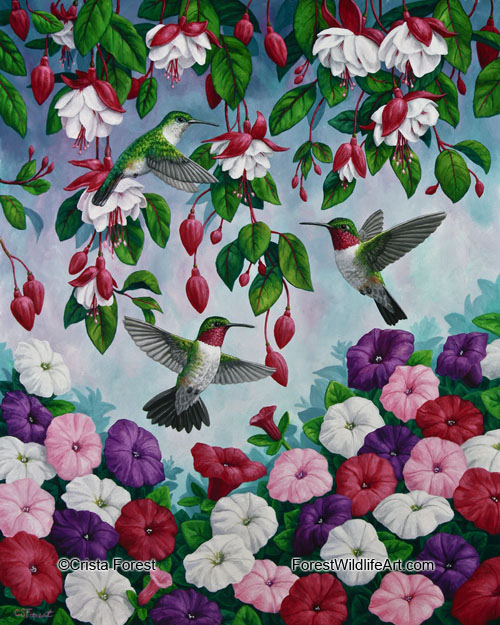 Broad-tailed hummingbirds and colorful flowers
