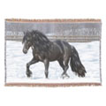 Bay Pinto War Horse art gifts