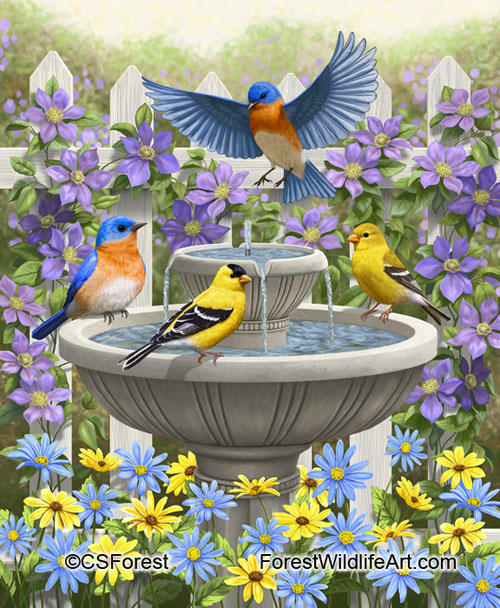 goldfinches, bluebirds and birdbath