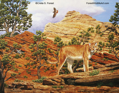 Zion mountain lion painting