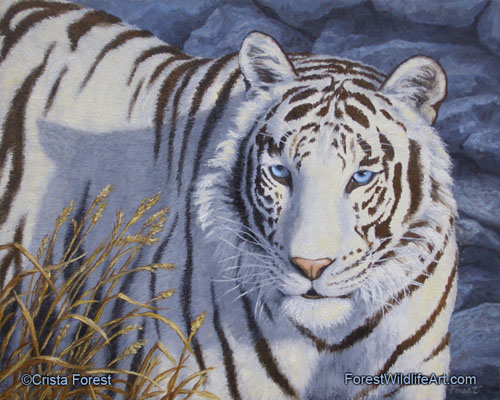 white tiger painting