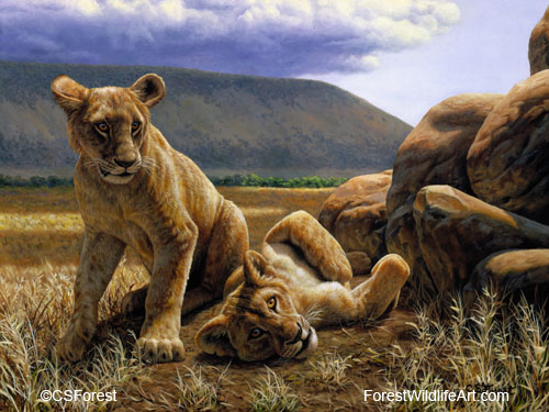 young African lions