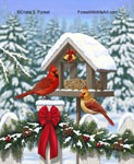Cardinals and Christmas bird feeder