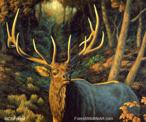bull elk painting