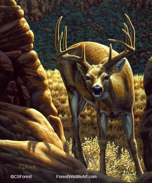 whitetail buck oil painting