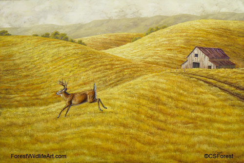 whitetail deer and old barn