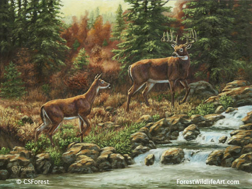 whitetail deer and waterfall