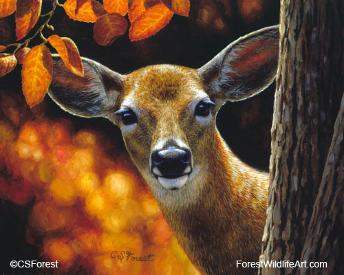 whitetail deer painting