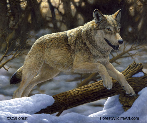 wolf painting