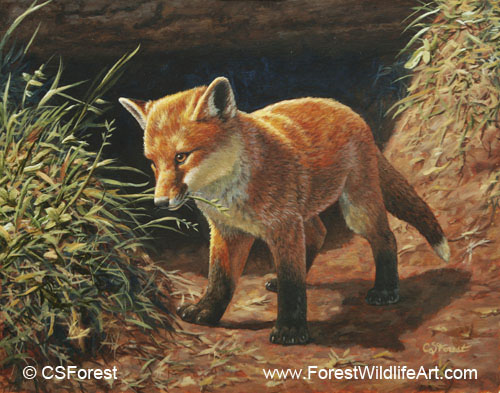 red fox painting