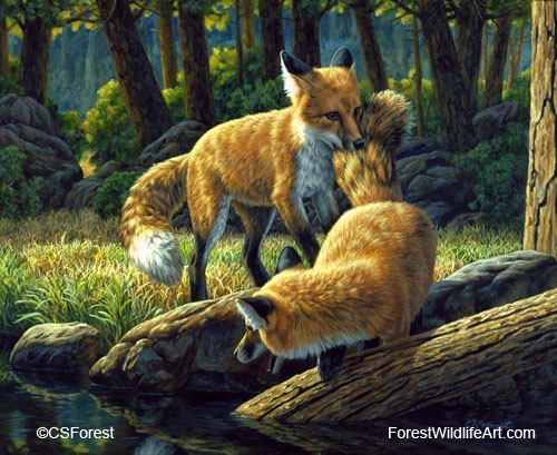 red fox painting