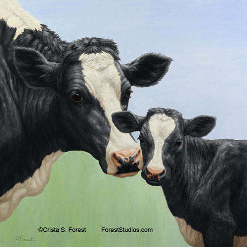 Holstein Cow & Calf