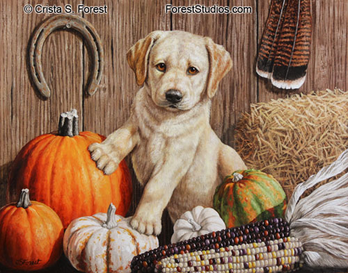 yellow lab puppy