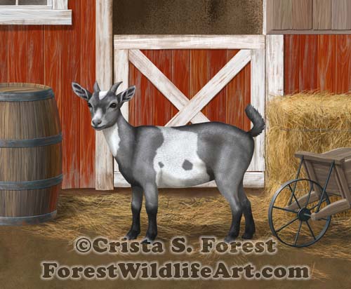 Gray Spotted Goat