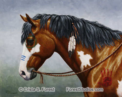 Bay Native American War Horse