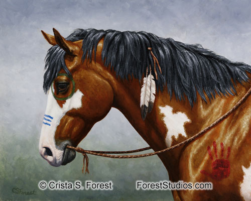 Native American war horse