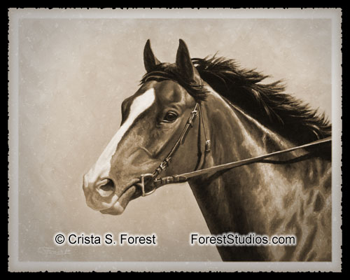 Thoroughbred Horse in Sepia