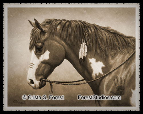 Native American War Horse in Sepia