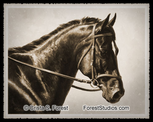 Bay Dressage Horse in Sepia