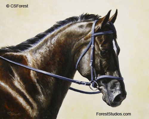 Dark bay dressage horse painting