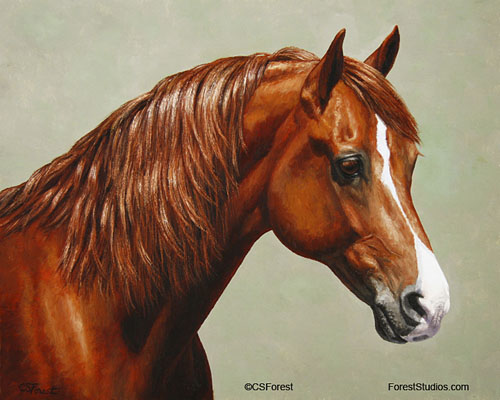 Chestnut Morgan horse painting