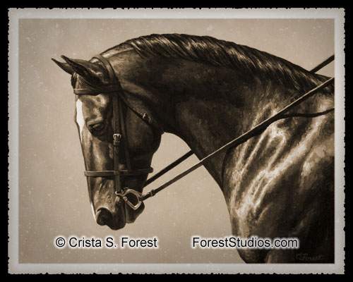 Brown Dressage Horse in Sepia