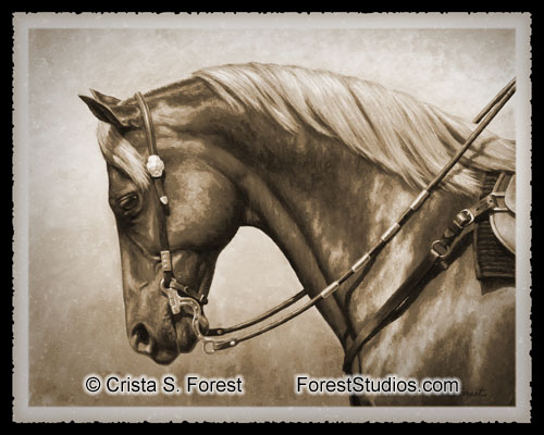 western quarter horse
