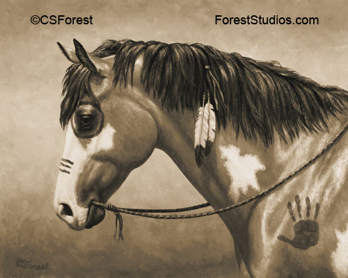 Indian pony painting