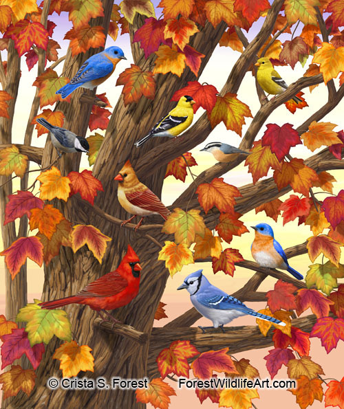 Autumn Birds Maple Tree