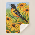 Baltimore Oriole gifts