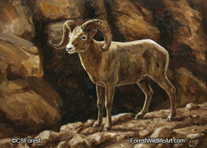 bighorn sheep