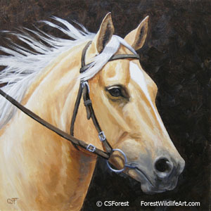 palomino horse