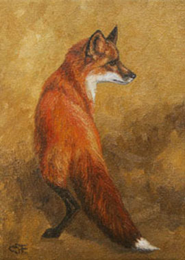 red fox