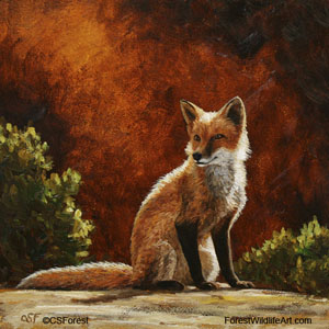 red fox images