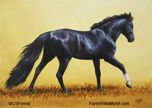 running black horse