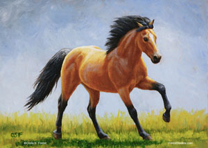 buckskin horse images