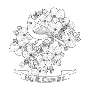 NC state bird and flower coloring page