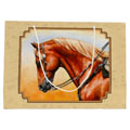 horse oil paintings