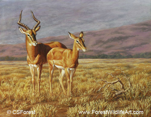 African antelope painting