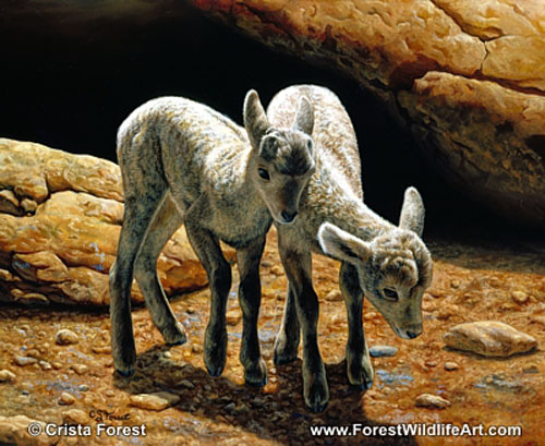 bighorn lambs painting