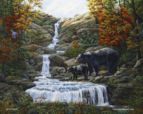 Black bears & waterfall